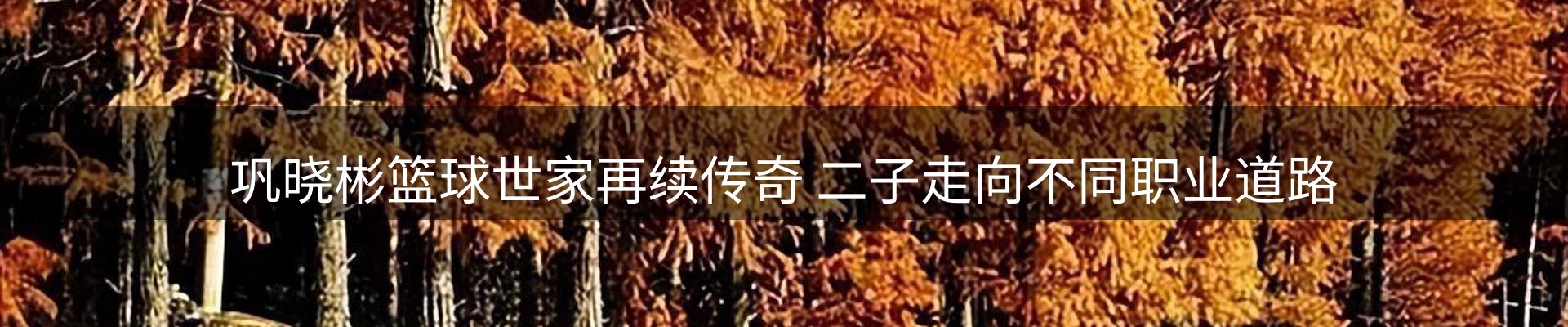 品牌资讯